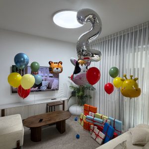 בלונים לגיוס — בלונים לגיוס